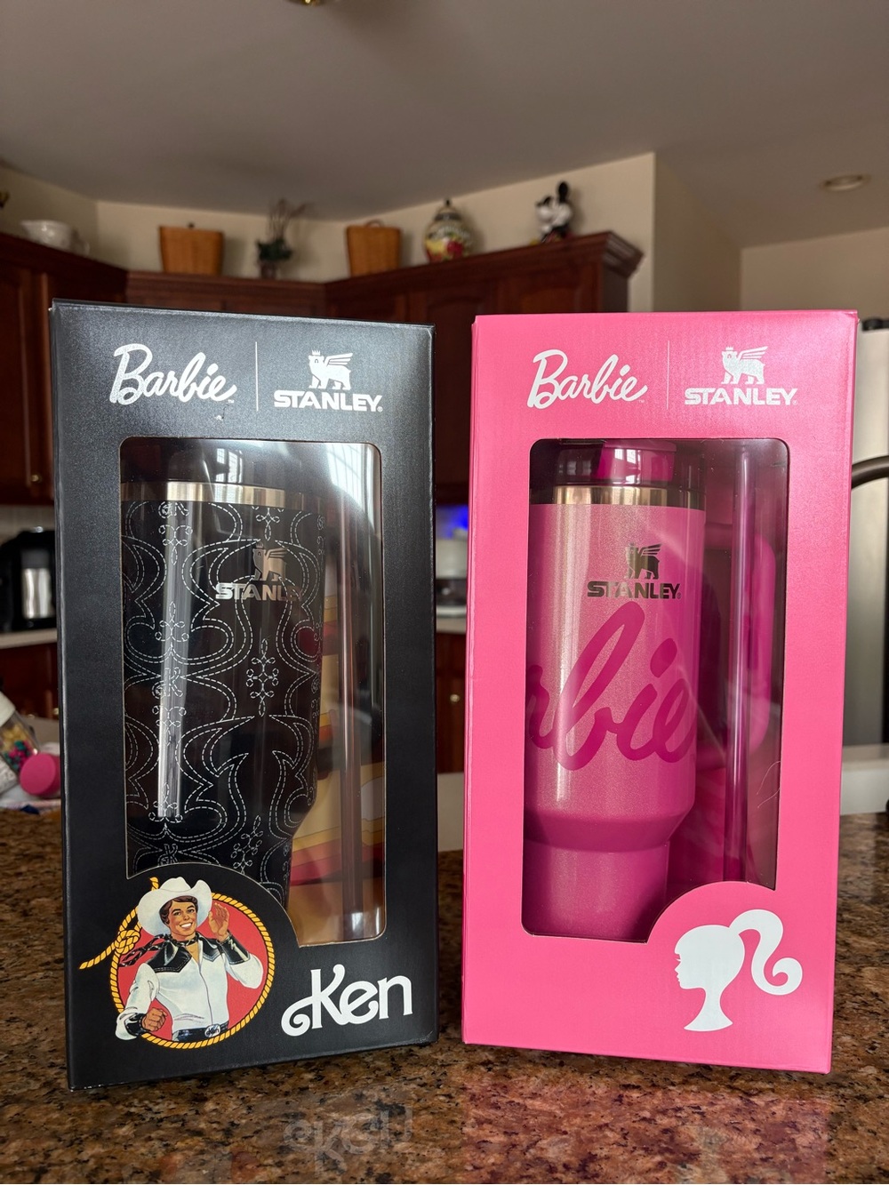 ✨ 💖 Better Together | Stanley x Barbie + Ken Collector Set | SOLD OUT | NWT